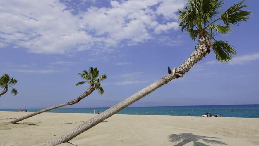 Maison Plein Pied Proximite Plage Et Commerce - 5Sir33 Vila Le Barcarès Exterior foto